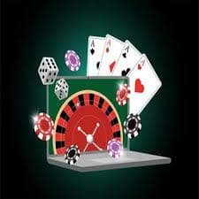 81bet12